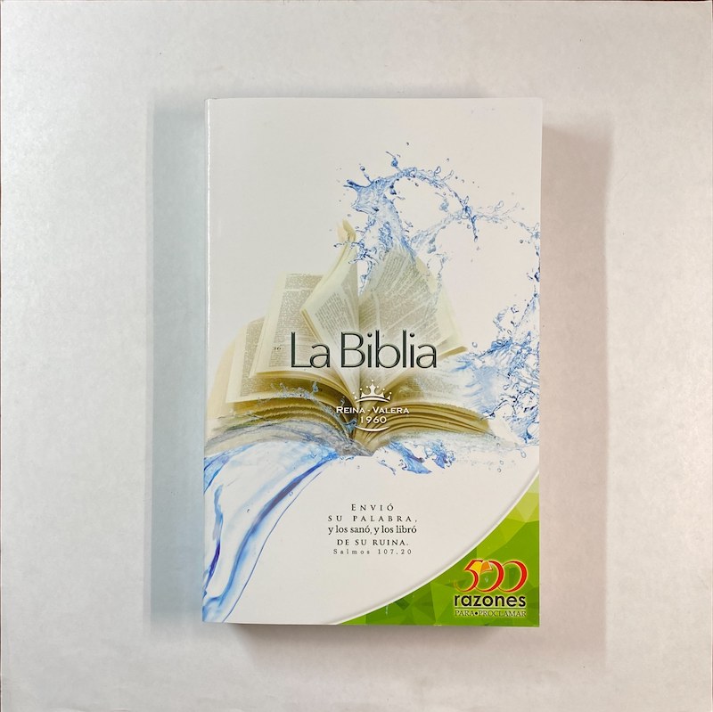 Biblia RVR60 económica 500 razones