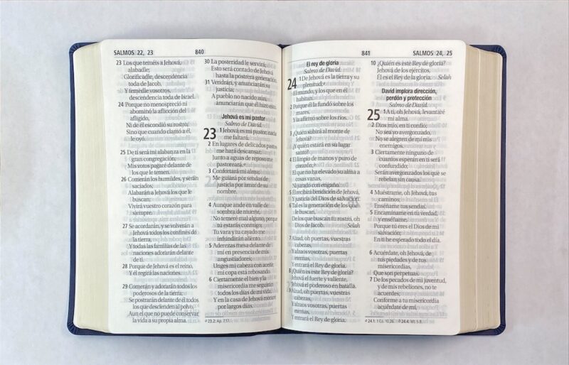 Biblia RVR60 letra gigante referencias concordancias PJR - Image 2