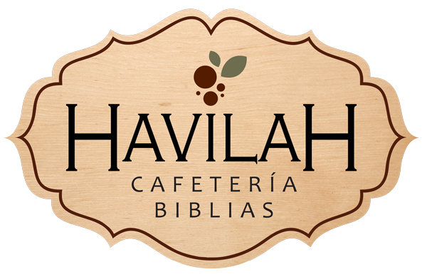 Biblias baratas | Mejor precio | Libreria Cristiana | Havilah