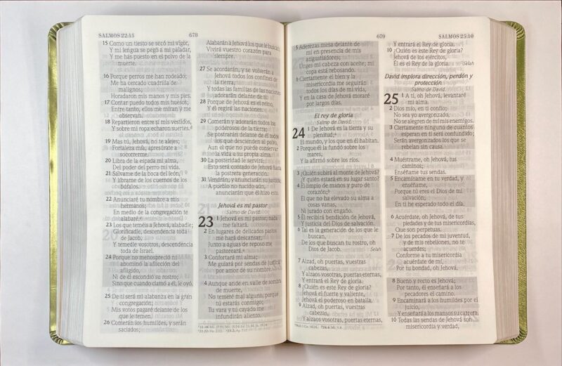 Biblia de promesas para mujeres RVR60 letra grande verde - Image 4